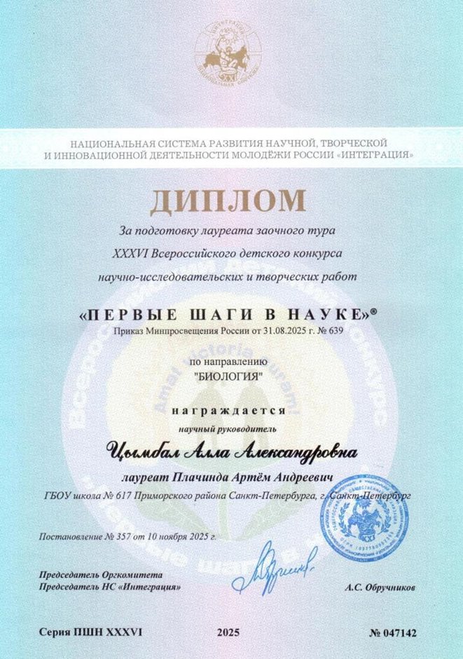 Цымбал Алла Александровна 2025-2026